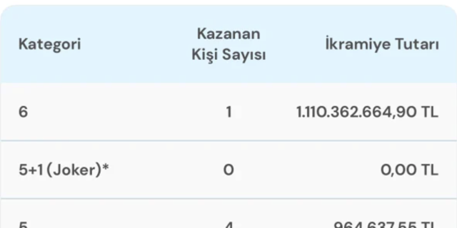 Çılgın Sayısal Loto çekilişinde büyük ikarmiye bir kişiye çıktı! Türkiye'nin en zengini oldu! - Resim: 1